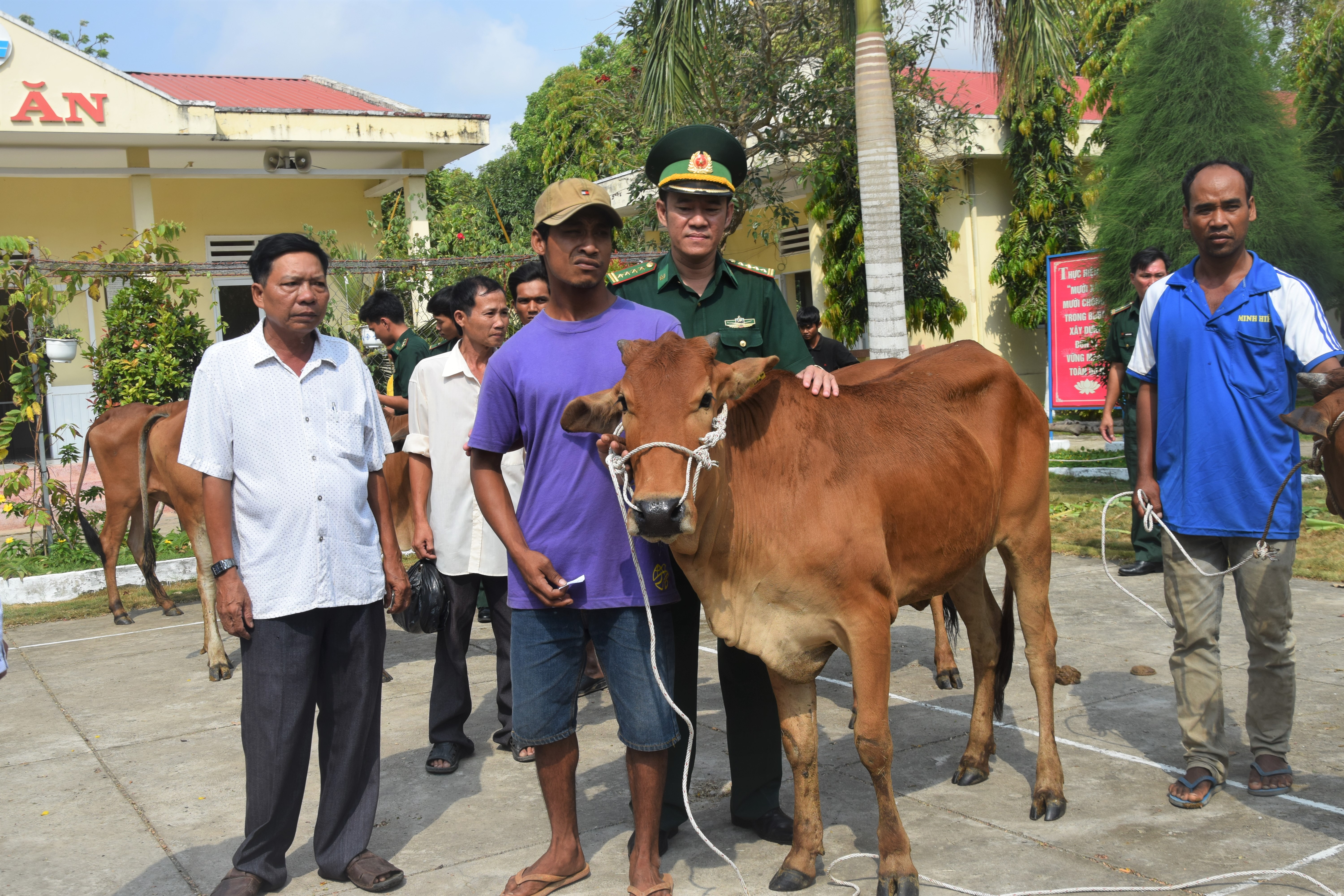 Sóc Trăng: Tặng bò giống cho các hộ gia đình Khơ-me nghèo
